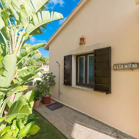 Alga Marina Tatil Evi