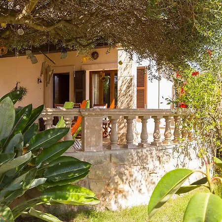 Alga Marina Tatil Evi *